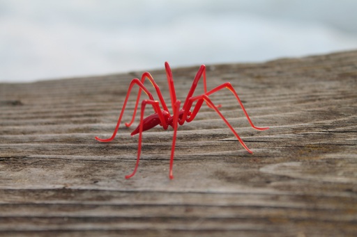 Spider Animals Glass,daddy long legs spider, Blown Glass, | Online ...