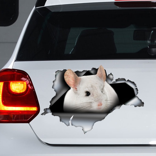 White Chinchilla car decal, white chinchilla car magnet, | Online ...